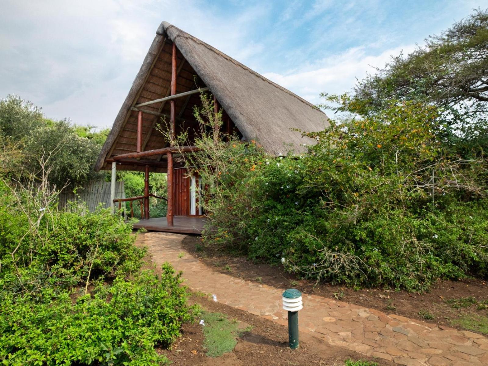 Rhino River Lodge Manyoni Private Game Reserve Esterno foto