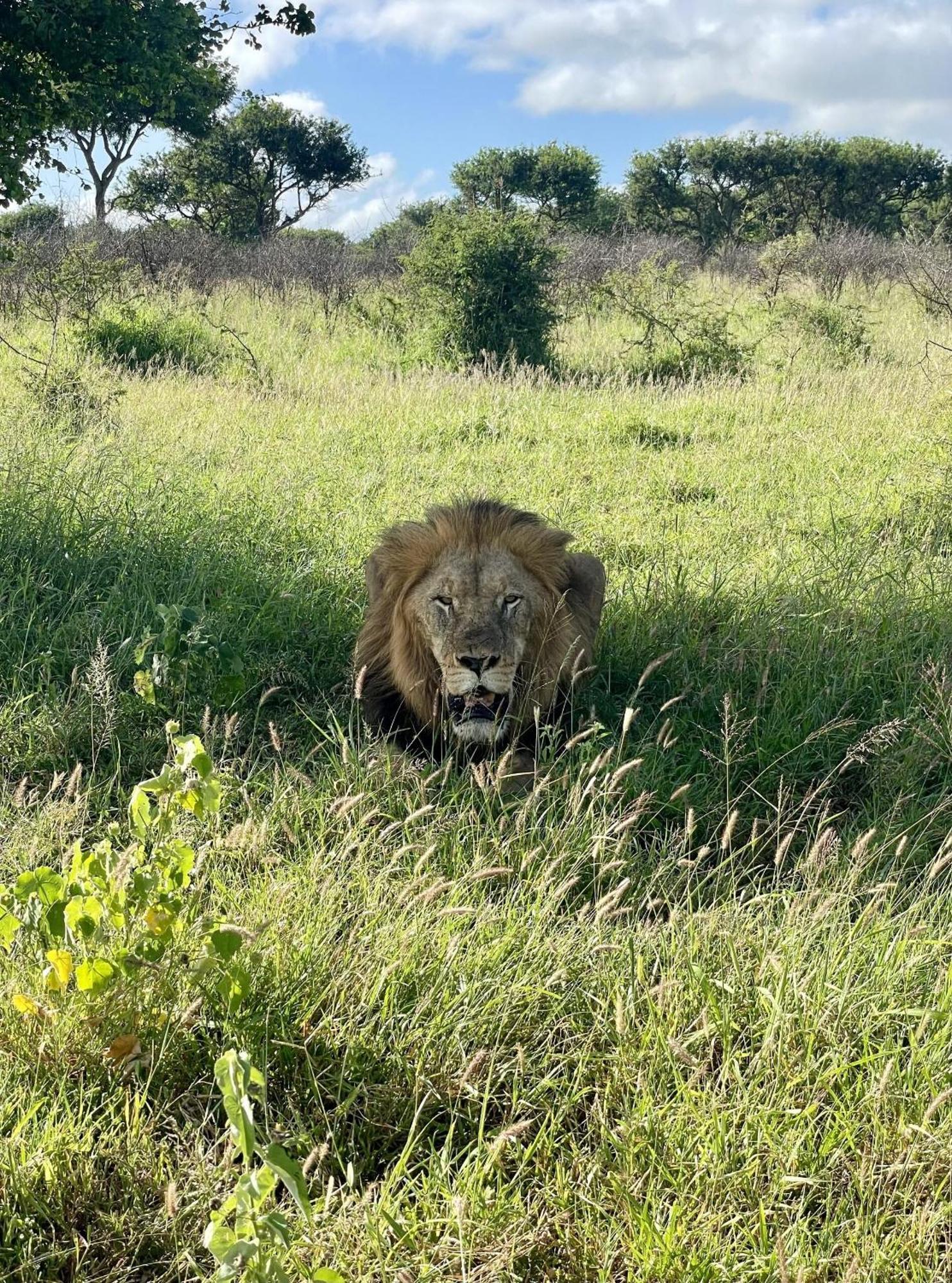 Rhino River Lodge Manyoni Private Game Reserve Esterno foto